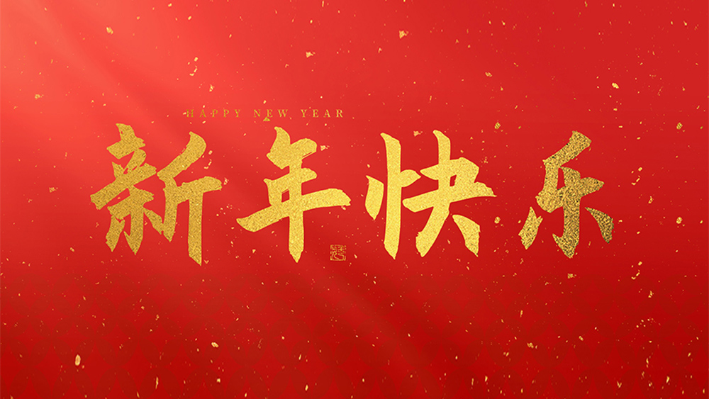 麗水市威儀自動(dòng)化技術(shù)有限公司祝全國(guó)人民2025新年快樂(lè)！